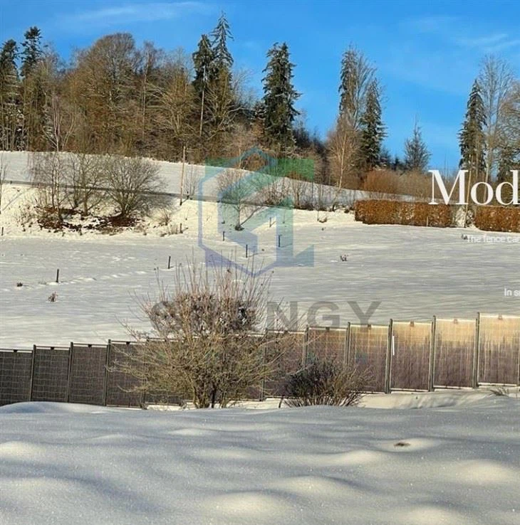 Vertical Solar Mounting Structure