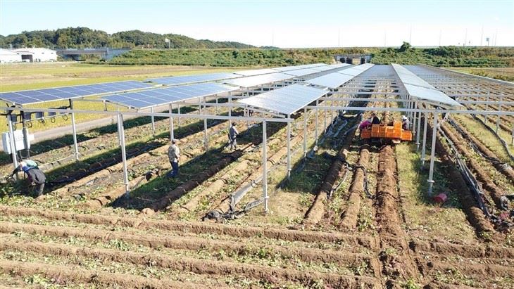Solar Mounting Systems For Agriculture factory